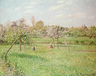 Apple Trees at Gragny, Afternoon Sun